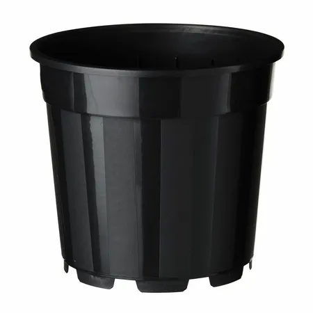 Container Zwart 3,1L 3 Stuks - afbeelding 1