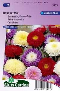 Aster chinensis - Bouquet Mix