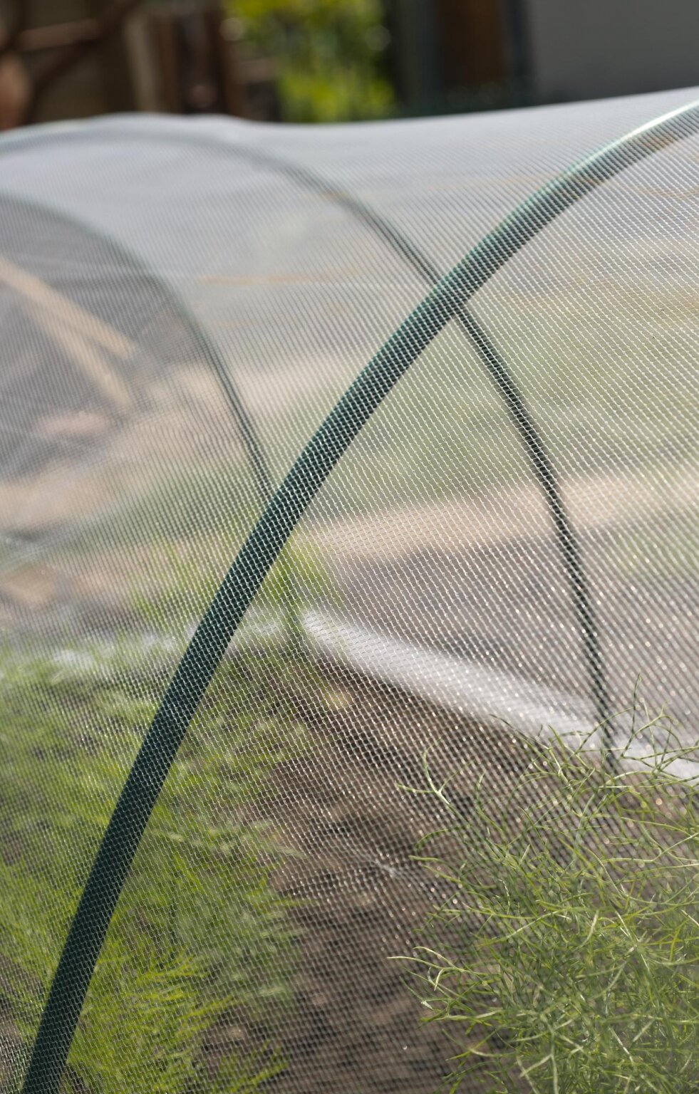 Nature Anti-insectengaas 2x5m transparant 1.8x1.8mm 38 g/ kopen? - Tuingoedkoop.nl | merken voor een scherpe prijs