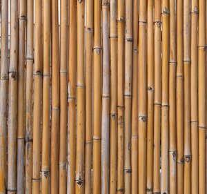 Nature Bamboerolscherm laag 1x1,80m kopen?