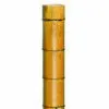 Decora Bamboe H300Cm Ø100/120Mm - afbeelding 1