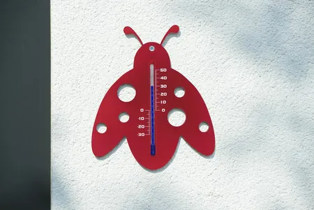 Muurthermometer Lieveheersbeestje - afbeelding 3