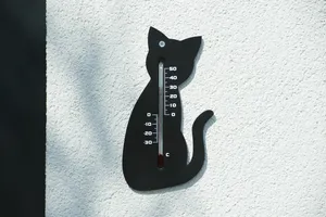 Muurthermometer Zwart Kat - afbeelding 3