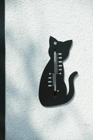 Muurthermometer Zwart Kat - afbeelding 2