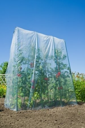 Nature Tomatenfolie Groei- en afdekfolie transparant 4x3,5m 70µ - afbeelding 1