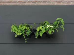 Nature plantenbakken voor aan de muur Online bestellen bij Tuingoedkoop.nl