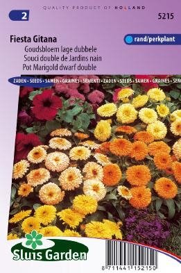 Calendula officinalis - Fiesta Gitana zaad bloemzaden