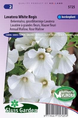 Lavatera trimestris - White Regis zaad bloemzaden