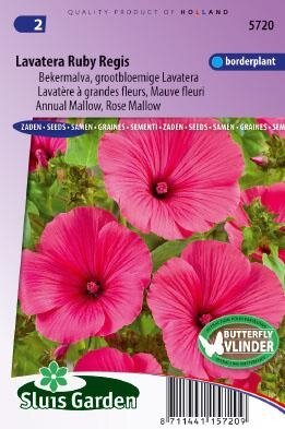 Lavatera trimestris - Ruby Regis zaad bloemzaden