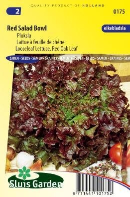 Sla Pluksla Eikebladsla Red Salad Bowl zaad, groentezaden - afbeelding 1