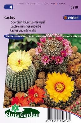 Cacti species - Soortenrijk Cactus-mix zaad bloemzaden