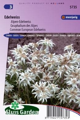 Leontopodium alpinum - Edelweiss zaad bloemzaden