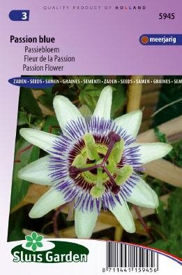 Passiflora coerulea - Passion Blue zaad bloemzaden