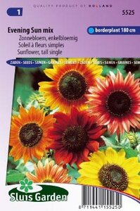 Helianthus annuus - Evening Sun mix zaad bloemzaden