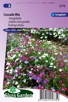 Lobelia erinus pendula - Cascade Mix zaad bloemzaden