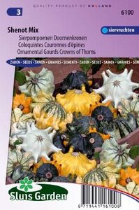 Cucurbita pepo - Doornenkronen Shenot Mix zaad bloemzaden