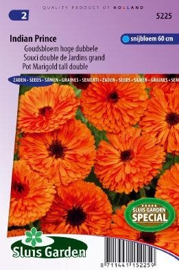 Calendula officinalis - Indian Prince zaad bloemzaden
