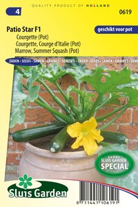 zaden courgette voor pot patio star online kopen