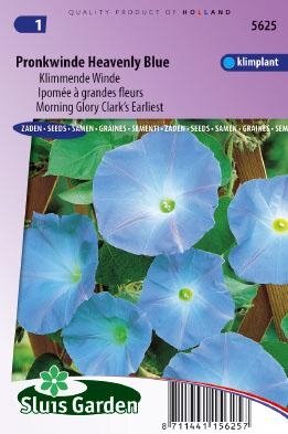 Ipomoea tricolor - Heavenly Blue zaad bloemzaden