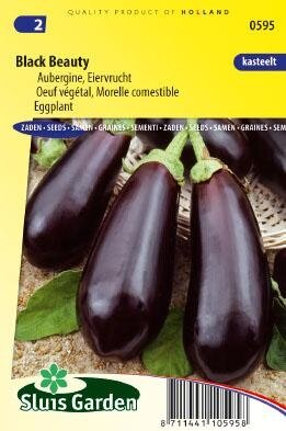 aubergine black beauty online kopen