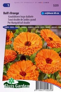 Calendula officinalis -Ball's Orange zaad bloemzaden