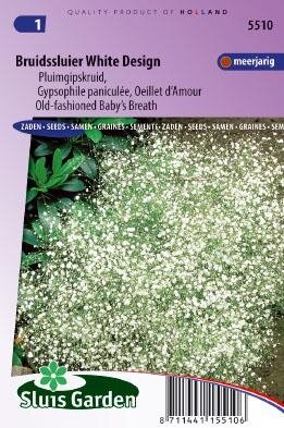 Gypsophila paniculata - White Design zaad bloemzaden