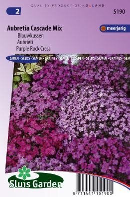 Aubretia x cultorum - Cascade Mix zaad bloemzaden