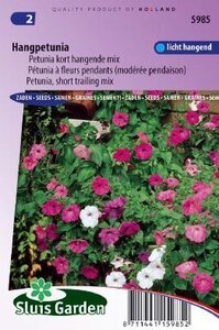 Petunia x hybride pendula - Choice Mix zaad bloemzaden