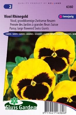 violen zaad rhinegold