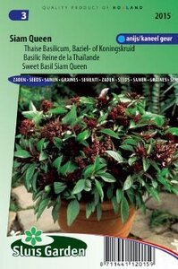 zaden basilicum thaise kopen