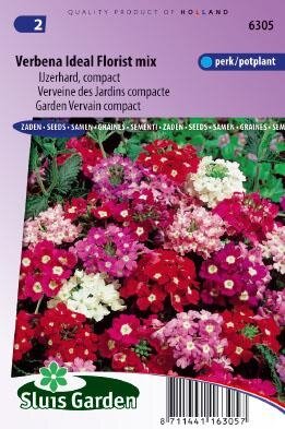 Verbena hybrida compacta - Ideal Florist mix zaad bloemzaden