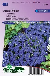 Lobelia erinus compacta - Emperor William zaad bloemzaden