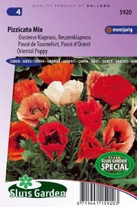 Papaver orientale -Pizzicato Mix zaad bloemzaden
