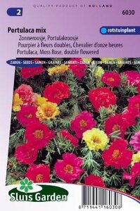 Portulaca grandiflora - Mix zaad bloemzaden