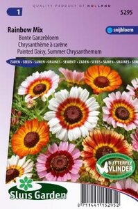 Chrysanthemum carinatum - Rainbow Mix zaad bloemzaden