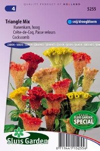 Celosia argentea cristata - Triangle Mix zaad bloemzaden
