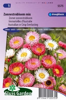 Helipterum roseum - Zonnestrobloem mix zaad bloemzaden