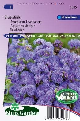 Ageratum houstonianum - Blue Mink zaad bloemzaden