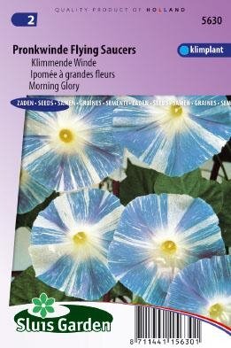 Ipomoea tricolor - Flying Saucers zaad bloemzaden