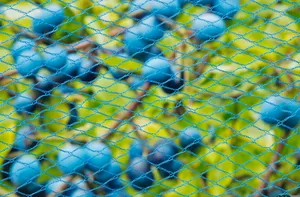 Tuinnet Nano Blauw 10X4M - afbeelding 3