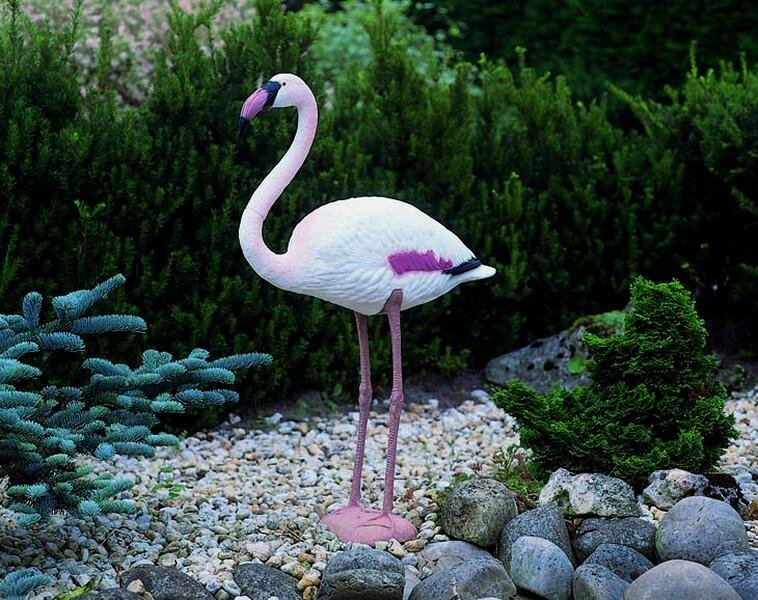 Ubbink Flamingo kopen? - Tuingoedkoop.nl | Het grootste online tuincentrum met zowel én Planten.