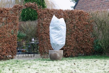 Nature Winterafdekhoes met koord wit 50cm kopen?